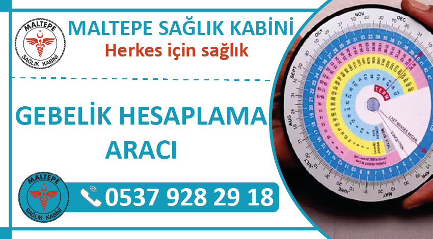 Gebelik Hesaplama Aracı, Kaç Haftalık Hamileyim?