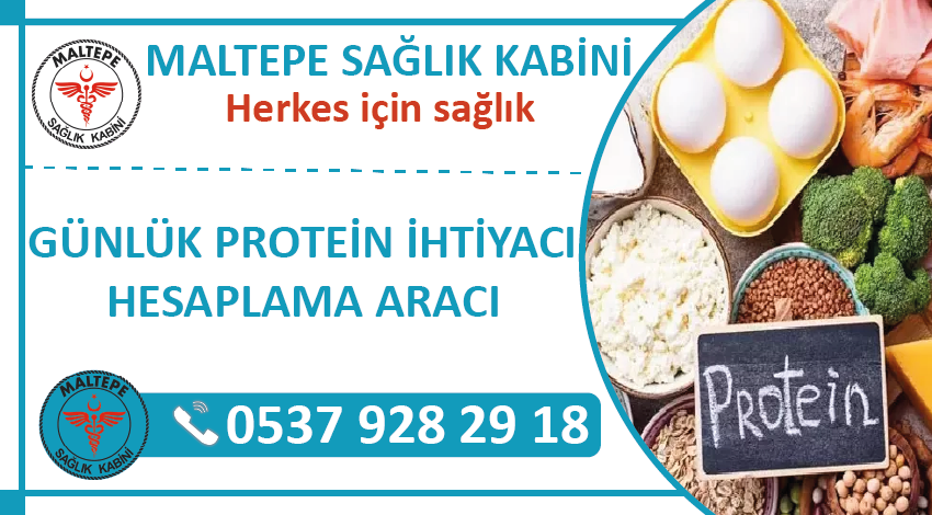 Günlük Protein İhtiyacı Hesaplama Aracı, Günlük Ne Kadar Proteine İhtiyacım Var?