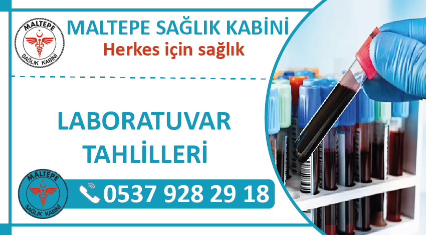 Evde Kan Alma, Genel Tahliller, Tam Kan Sayımı, D vitamini, B1, B6, B12 ve diğer vitaminler Açlık ve Tokluk kan şekeri (Glukoz)