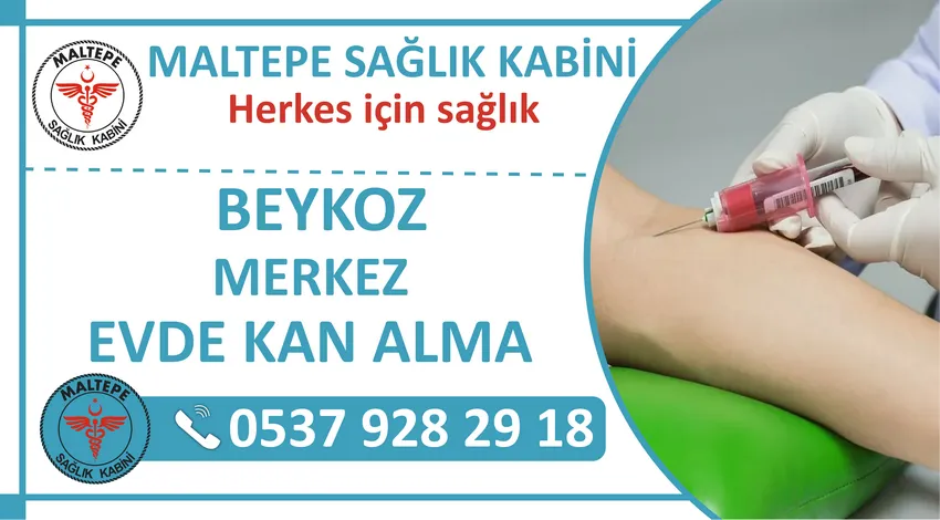 Beykoz Merkez Evde Kan Tahlili ve Beykoz Merkez Evde Kan Alma Fiyatları?